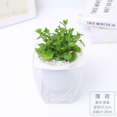 开云app登录入口