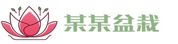 开云app登录入口-开云（中国）